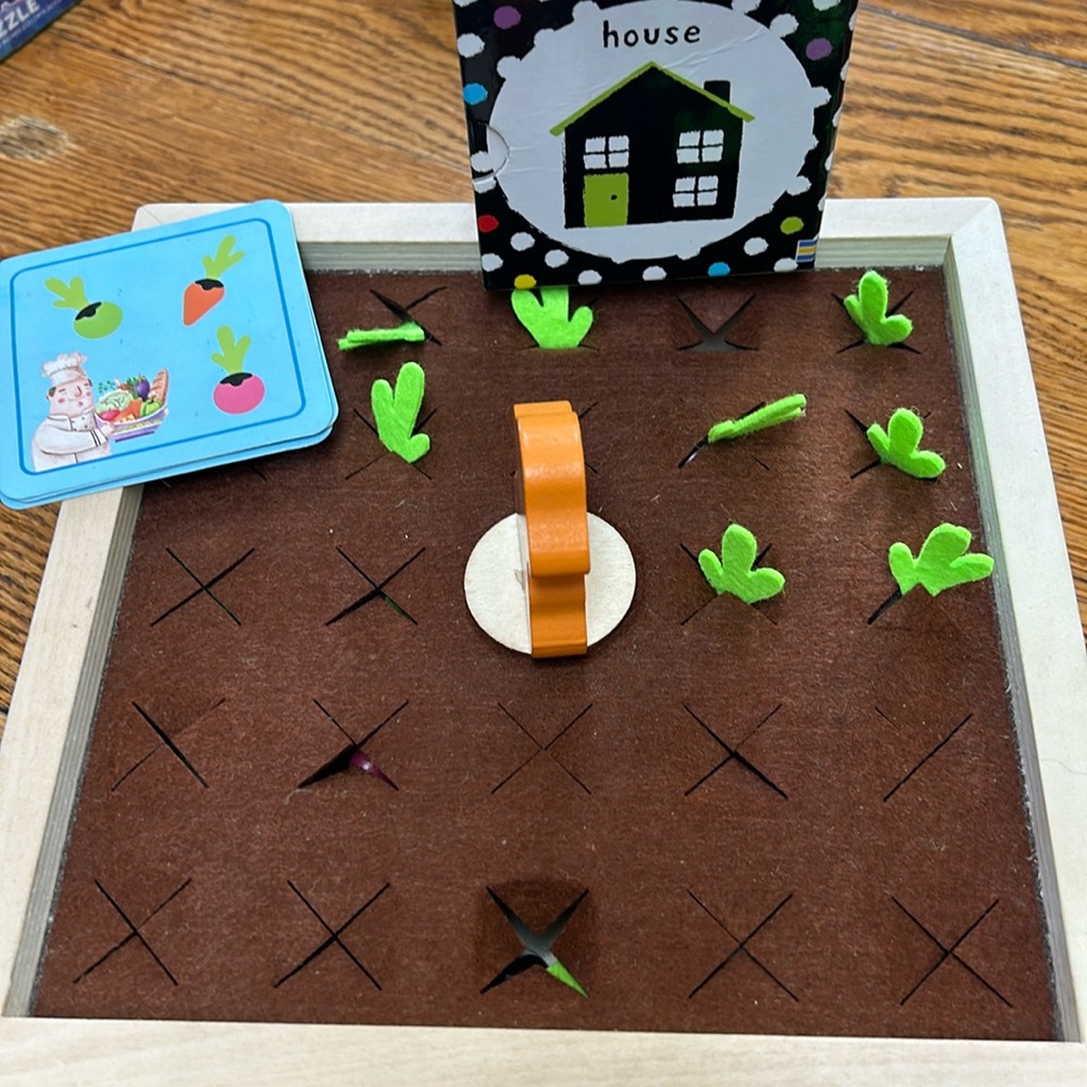 Infant Usborne books and Bright Rise Harvest memory game.  Wooden.